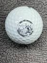 Katke-Cousins Golf Course (Rochester Hills, MI) Logo Golf Ball ...