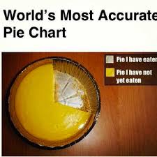 No Better Pie Chart Than A Chart Made Out Of Pie By