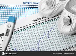 Planning Of Pregnancy The Fertility Chart Stock Photo