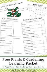free plant worksheets for kindergarten