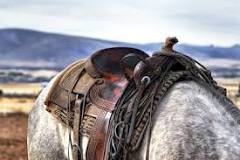 how-heavy-is-a-ranch-saddle