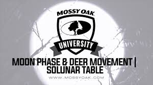 Moon Phase And Deer Movement Solunar Table
