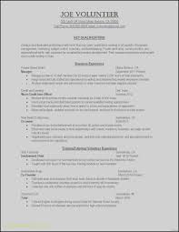 Resume With Interests Example Beautiful Image Curriculum Vitae Line