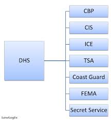 Dhs Organizational Chart Related Keywords Suggestions