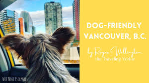 dog friendly vancouver fun places to