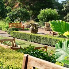 royal botanic gardens sydney