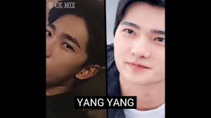 chinese actors who handsome without