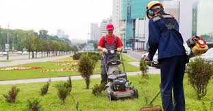 best lawn care services in memphis tn
