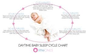 Babys Sleep At 3 6 Months Understanding Your Baby Little