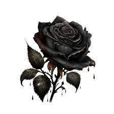 ai generative black rose flower png