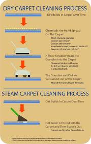 professional bot carpet cleaning