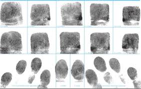 fingerprint cards ink livescan