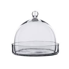 glass dome cloche terrarium bell jar