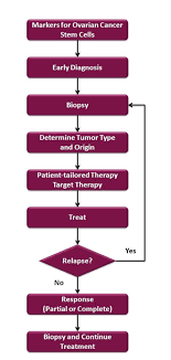 Flow Chart For Diagnosing And Treating Patients With Ovarian