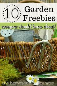 Garden Freebies To Start Your Garden