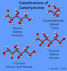 Carbohydrates Classification