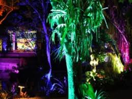 Night Lights In The Garden Naples Marco Island Everglades