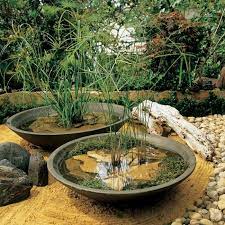 Shallow Low Bowl Planters
