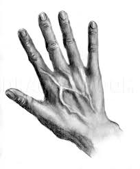 These gestures can convey many emotions such as fear, anger, sadness and happiness. How To Draw Realistic Hands Draw Hands Step By Step Drawing Guide By Catlucker Dragoart Com