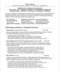 Ceo Coo Free Resume Samples Blue Sky Resumes