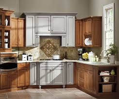 off white kitchen cabinets fusion