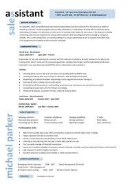 Sales Assistant CV Example plasmaNorm