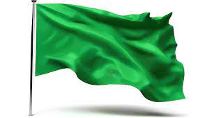 green flag on white background