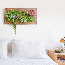 Weathered Wood Succulent Wall Frame Homary