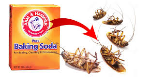 get rid of roaches with baking soda
