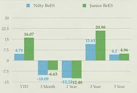 Gs Nifty Junior Bees Review