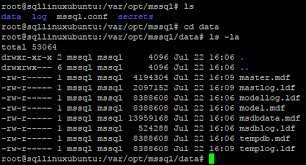 sql server on linux series moving