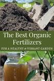 What is the best organic fertilizer for vegetables?