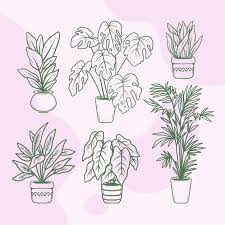 Hand Drawn Houseplant Collection
