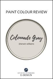 Sherwin Williams Colonnade Gray Paint