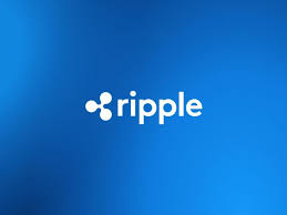 Ripple is focused on building technology to help unleash new utility for xrp and transform global payments. Why Xrp Is Outperforming Bitcoin Today