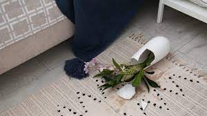 carpet cleaning company costs in