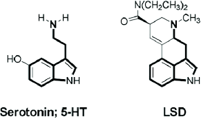 chemical structures of serotonin and