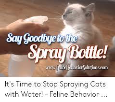 Spraying cat with water meme. Spray Bottle Wwwfelinebehaviorsolutionscom It S Time To Stop Spraying Cats With Water Feline Behavior Cats Meme On Me Me