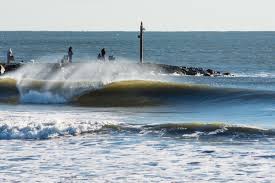 Best Beaches In Avalon Expert Guide To Traveling Surfing