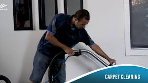 carpet cleaning services reliable