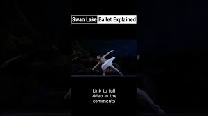 swan lake explained you