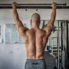 vegan bodybuilding how to build muscle