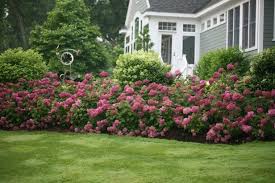 Front Yard Landscaping Ideas To