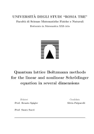 Quantum Lattice Boltzmann Methods For