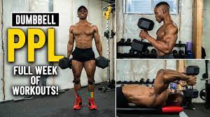 full week of workouts push pull