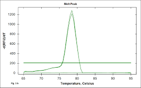 Sybr Green Real Time Pcr Assay For Detection Of The