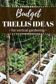 diy trellis ideas for growing a