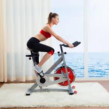 Fitness Pro Indoor Cycling Bike
