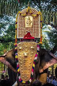 kerala elephant festivals hd phone