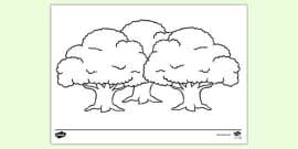 Cedar trees coloring page | free printable coloring pages. Cedar Tree Colouring Page Ks1 Resources Twinkl